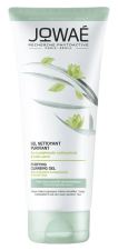 Purificando Gel de limpeza 200 ml