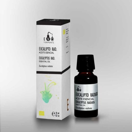 Eucalipto Radiata Essential 10ml de óleo.