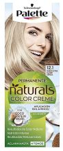 Tonalidade 12.1 Extra Light Ash Blonde