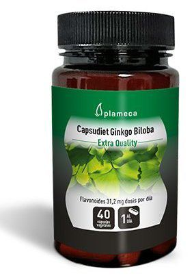 Ginkgo Biloba Capsudiet 40 Caps