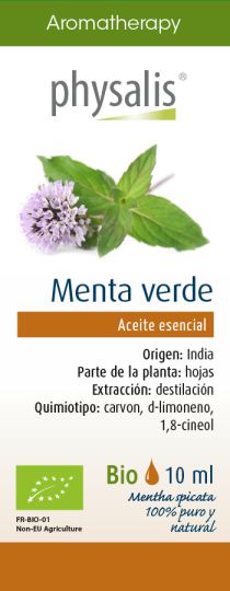 Essência de menta verde 10 ml