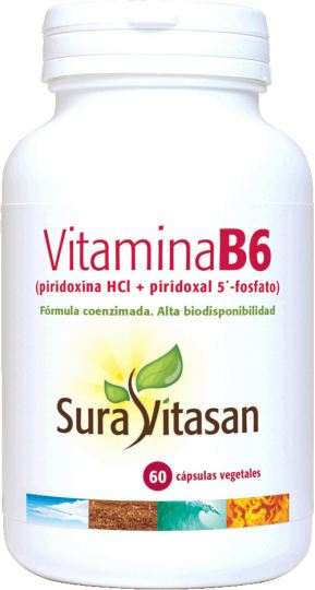 Vitamina B6 60 C?psulas