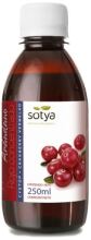 Concentrado de Cranberry 250 ml