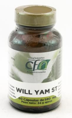 Wild Yam St 60 Cápsulas 580 mg