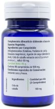 Cavalinha 100 comprimidos 500 mg