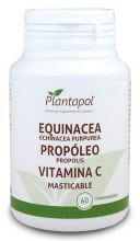 Echinacea Própolis Vitamina C 60 comprimidos