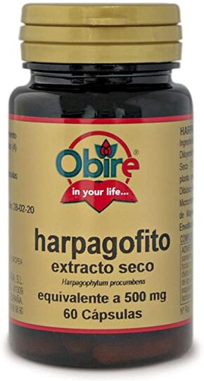 Harpagofito 500 Mg. (Ext. Seco) 100 Comp.