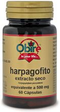 Harpagofito 500 Mg. (Ext. Seco) 100 Comp.