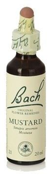 Mustard Fb 20ml. (Florais de Bach)