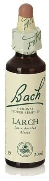 Fb Larch 20ml. (Florais de Bach)