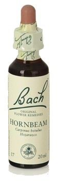 Fb Carpino 20ml. (Florais de Bach)