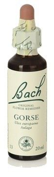 Heather Fb 20ml. (Florais de Bach)