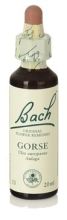 Gorse Fb 20ml. (Florais de Bach)