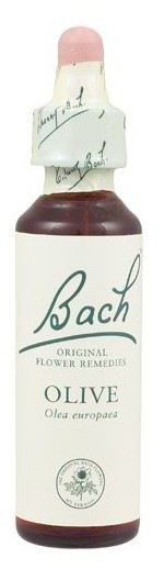 Genciana Fb 20ml. (Florais de Bach)