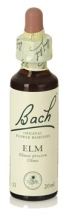 Fb Elm 20ml. (Florais de Bach)