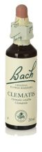 Fb Clematis 20ml. (Florais de Bach)