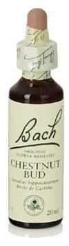 Chestnut Bud Fb 20ml. (Florais de Bach)