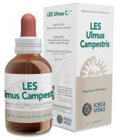 Les Ulmus campestris Olmo 50ml.