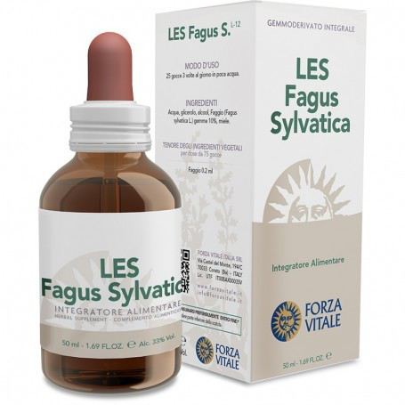 Fagus sylvatica Beech Les 50ml.