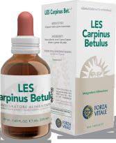 Les Carpinus Betullus Carpino 50ml.