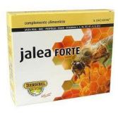 Jelly Forte 16 ampolas x 10 ml