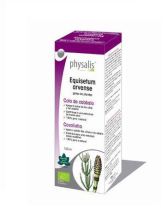 Extracto de Equisetum Bio 100 ml