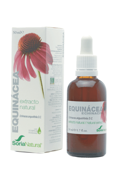 Extrato de Echinacea Glicerina 50Ml