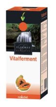 Vitalferment Mamão Fermentado 250 ml