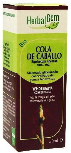 Cavalinha 50ml macerado glicerina. **