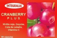 Cranberry Além disso 60cap.