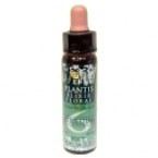 Plantis Nº 6 Autoestima 10 ml