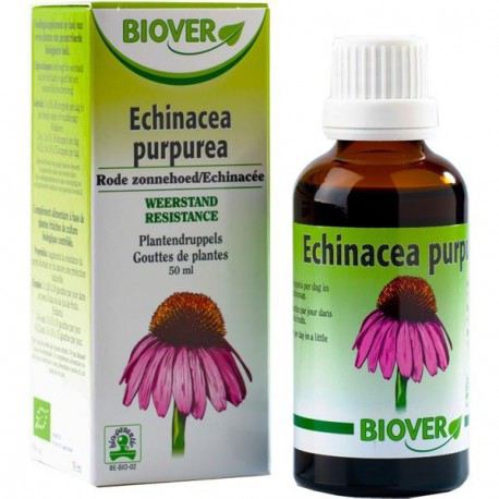 Echinacea purpurea (equinácea) Tm 50ml.