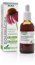 Extrato de Echinacea