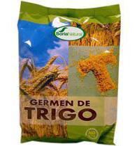 Germe de trigo