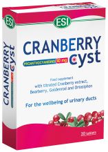 Cranberry Cisto (Nocyst) 30comp.