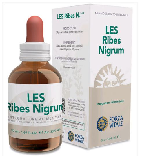 Groselha-preta Ribes Nigrum Les 50ml.