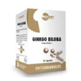 Ginkgo Biloba ergosfera 45Cap.