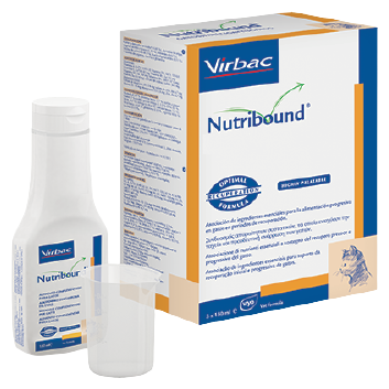 Cães Nutribound 3x150 ml