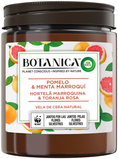 Vela aromática de cera natural Toranja e Menta Marroquina 205 gr